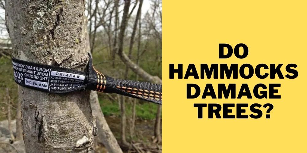 Do Hammocks Damage Trees