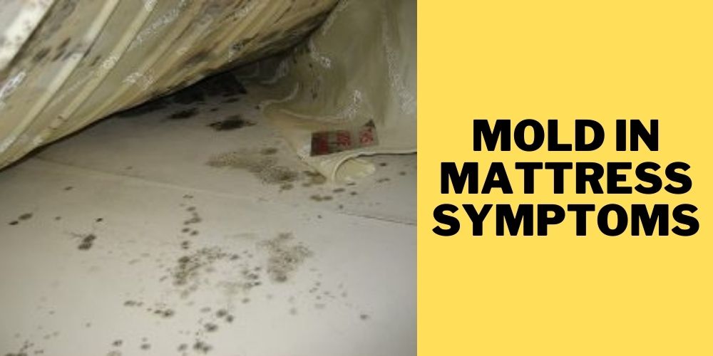 Mold in mattress symptoms