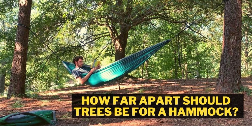 How Far Apart Should Trees Be For a Hammock