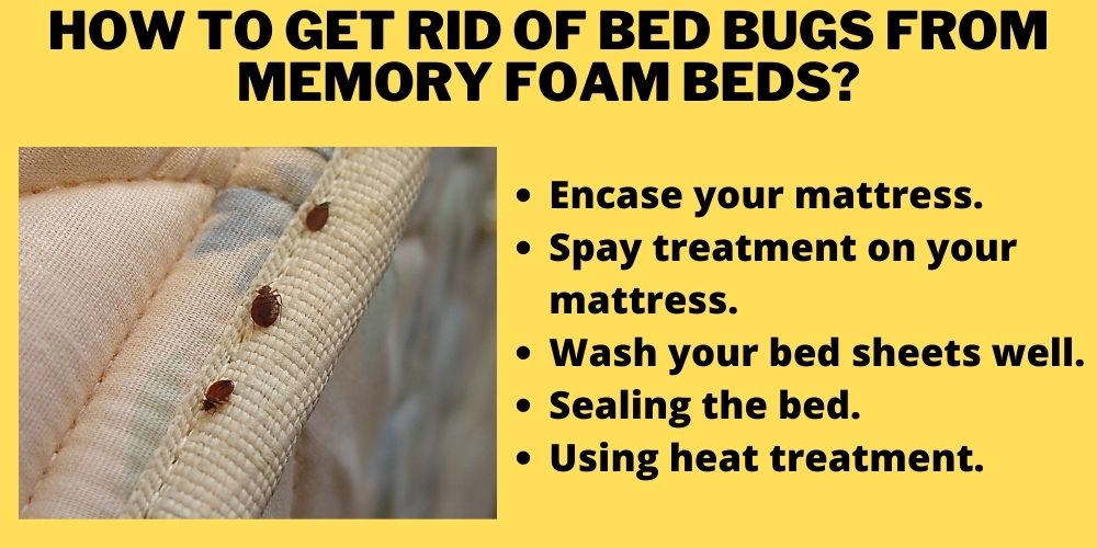 How to get rid of bed bugs from memory foam beds?