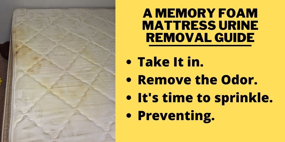 A Memory Foam Mattress Urine Removal Guide