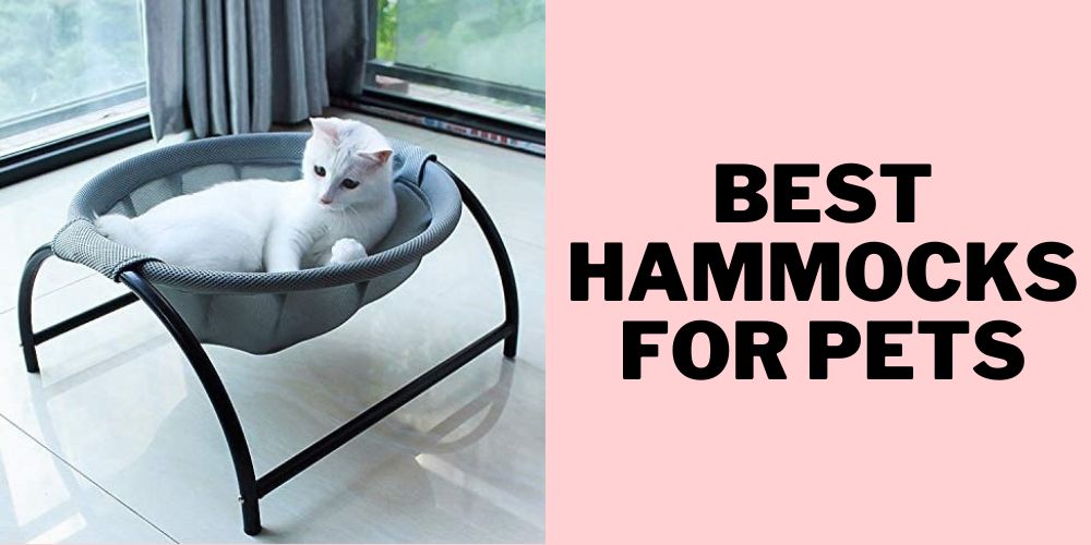 Hammocks for Pets