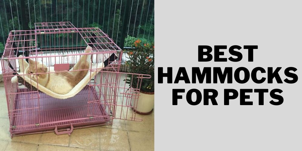 Best Hammocks for Pets