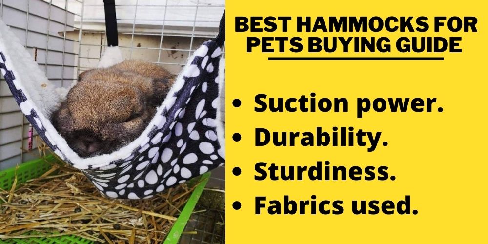 Best hammocks for pets buying guide 
